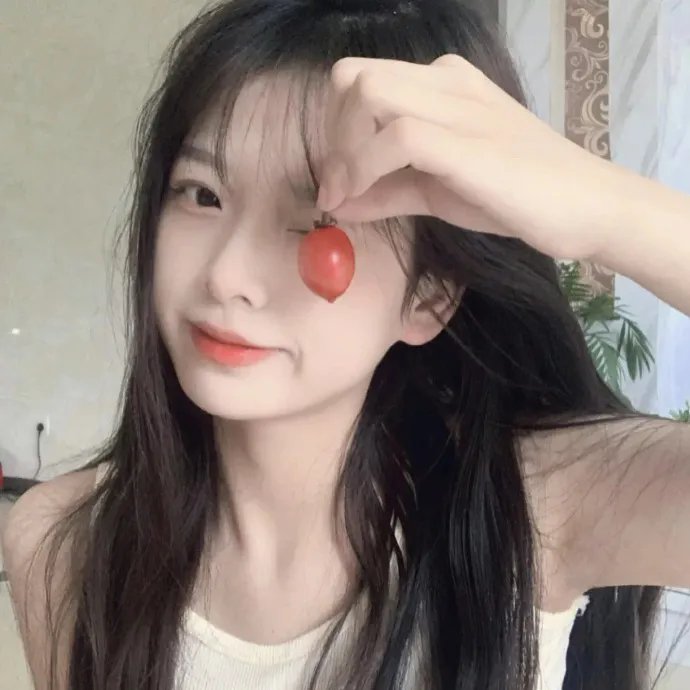 刘墉追案