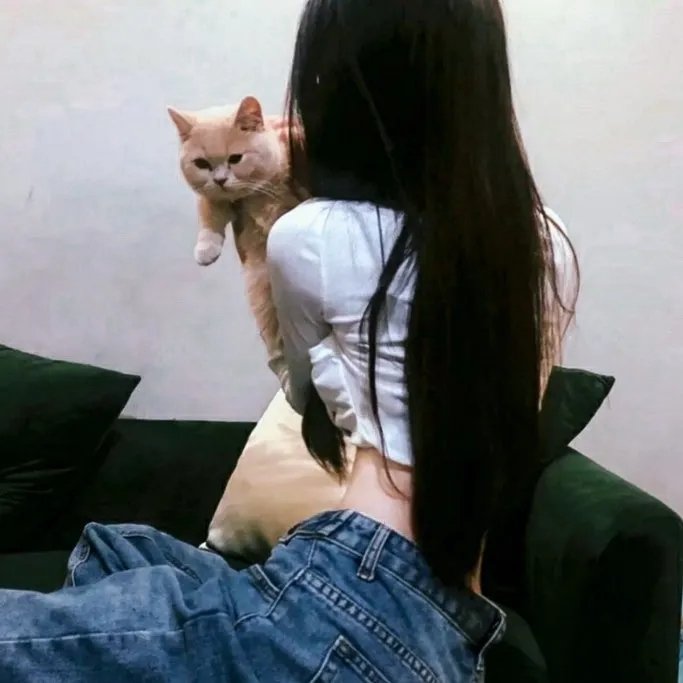 宝贝完成
