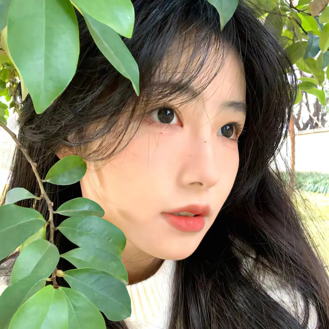 出云之月